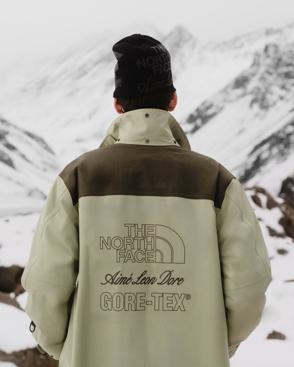 Person in ALD / The North Face GORE-TEX Trench Coat faces snowy peaks, logo visible on back.