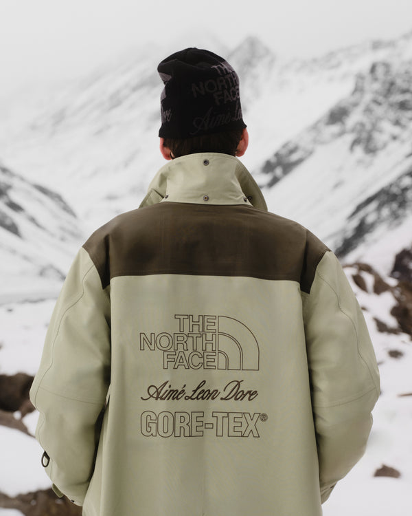 Person in ALD / The North Face GORE-TEX Trench Coat faces snowy peaks, logo visible on back.
