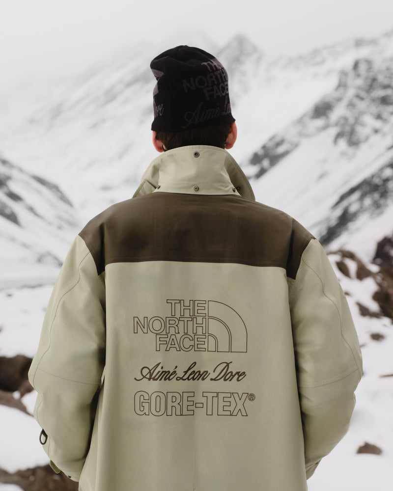Person in ALD / The North Face GORE-TEX Trench Coat faces snowy peaks, logo visible on back.