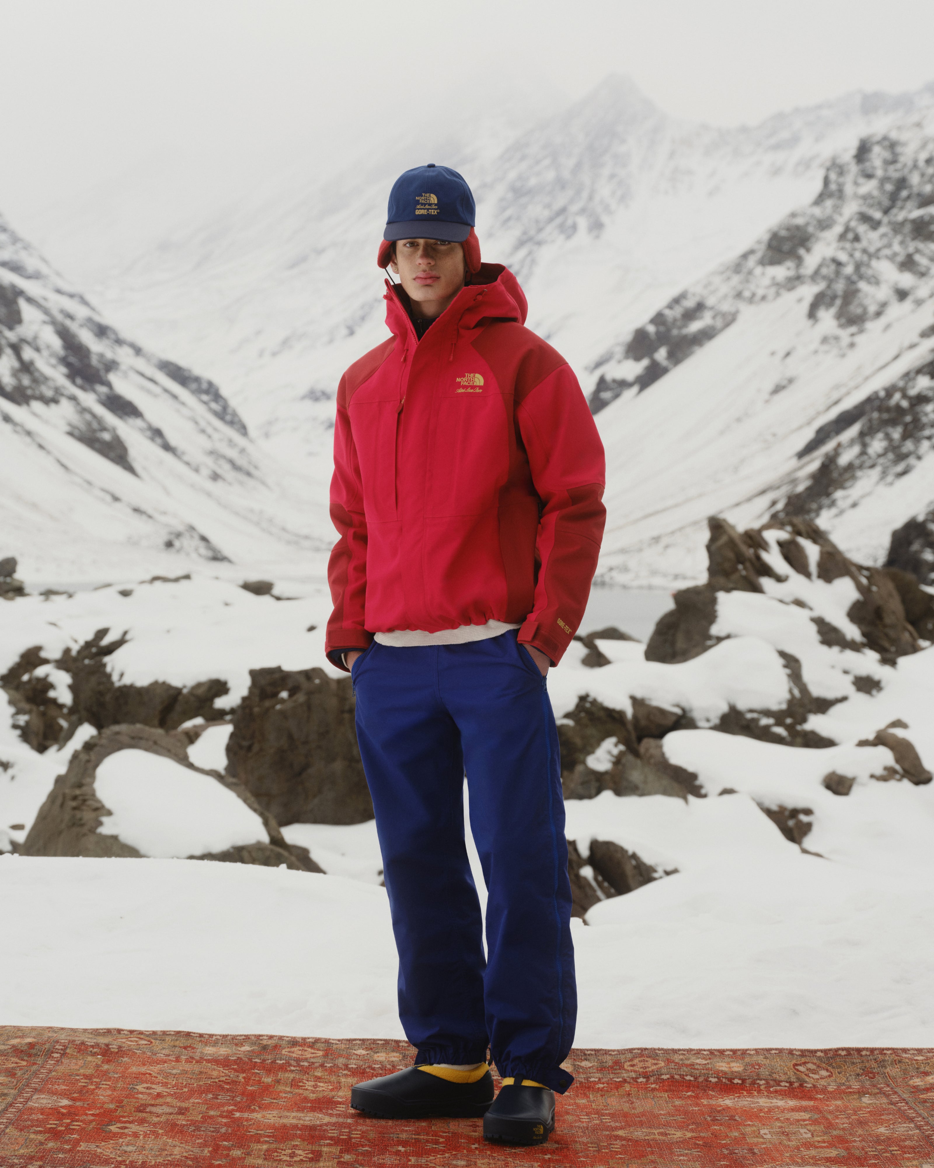 Person wears ALD/The North Face GORE-TEX 2000 Mountain Jacket and stands on a rug in snowy mountains.