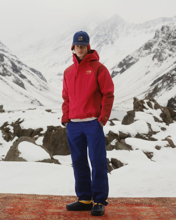 Person wears ALD/The North Face GORE-TEX 2000 Mountain Jacket and stands on a rug in snowy mountains.