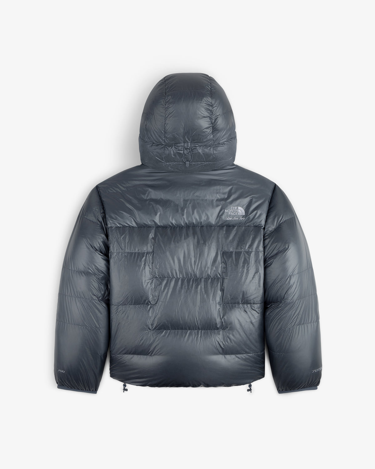 ALD/The North Face Reversible Pertex® Nuptse Jacket in gray with hood, logo on upper back-right.