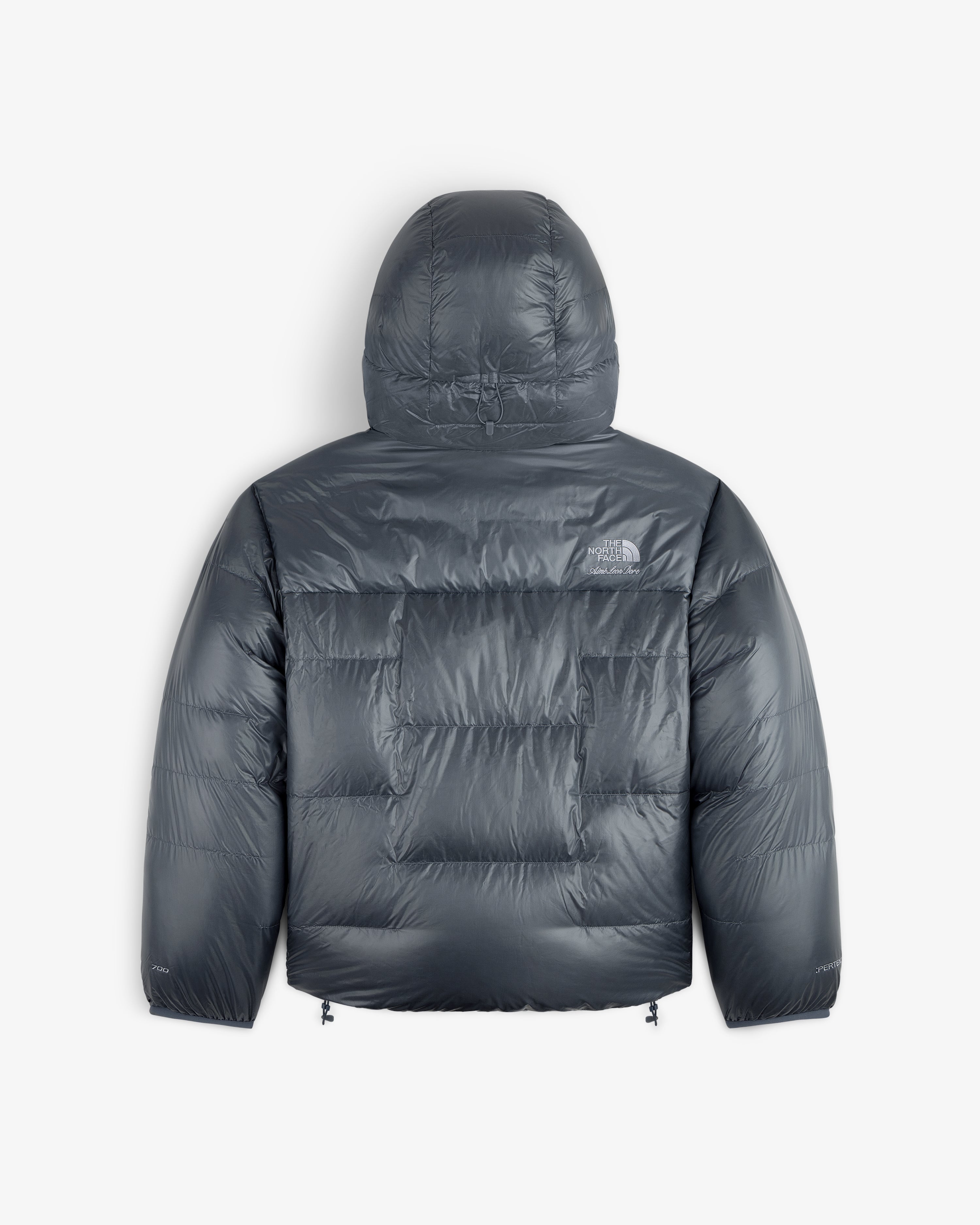 ALD/The North Face Reversible Pertex® Nuptse Jacket in gray with hood, logo on upper back-right.