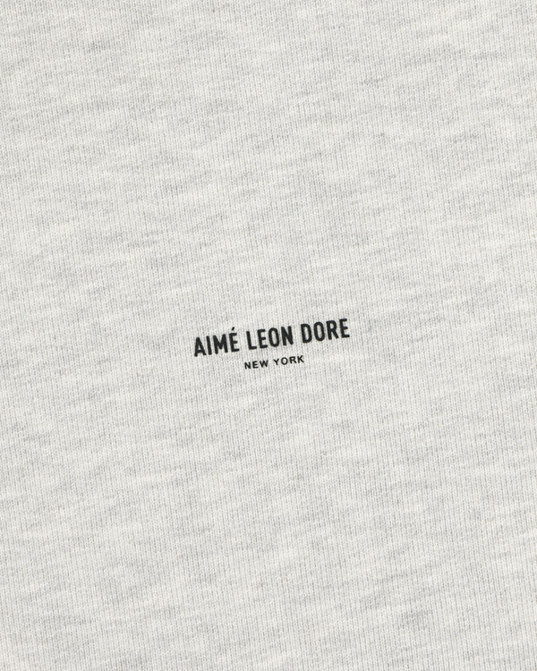 Close-up of gray Micro Logo Crewneck Sweatshirt featuring AIMÉ LEON DORE NEW YORK printed in black at the center.
