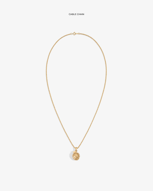 14Kt Sonny Apple Pendant necklace with a gold chain, shown on a white background.