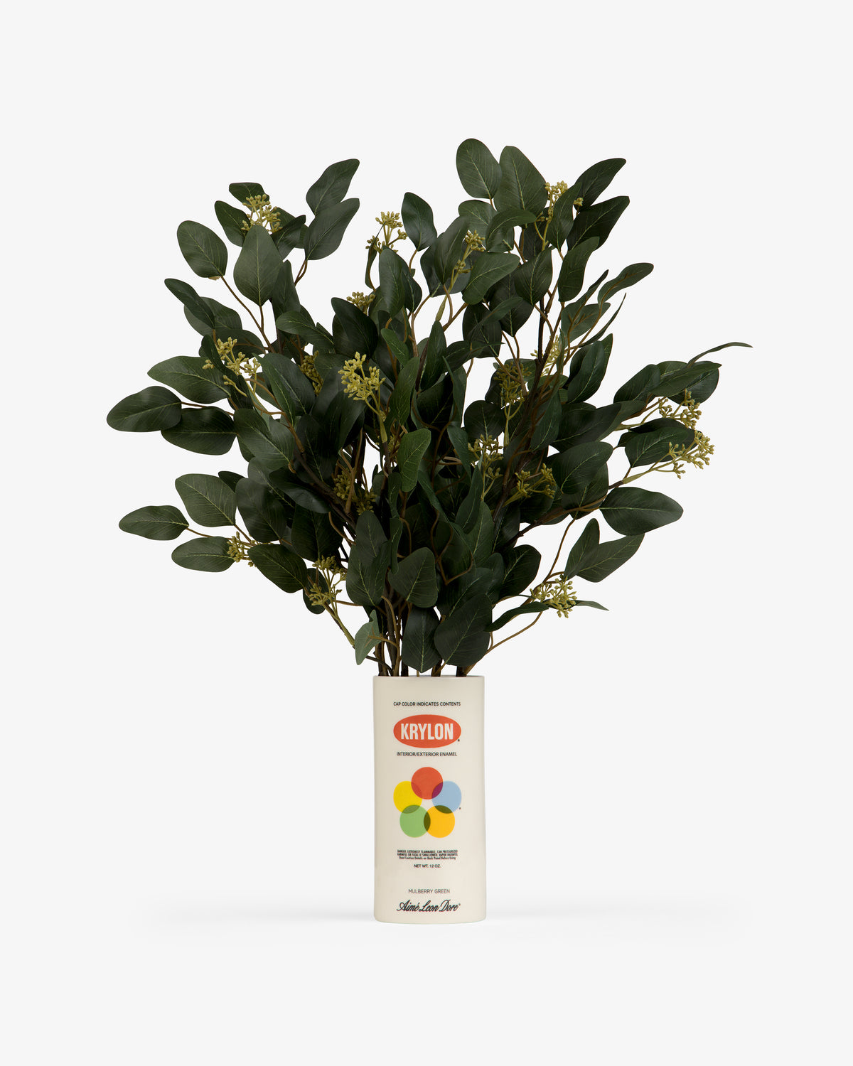 A leafy green plant in a Krylon Ceramic Spray Can Vessel, displayed on a plain white background.
