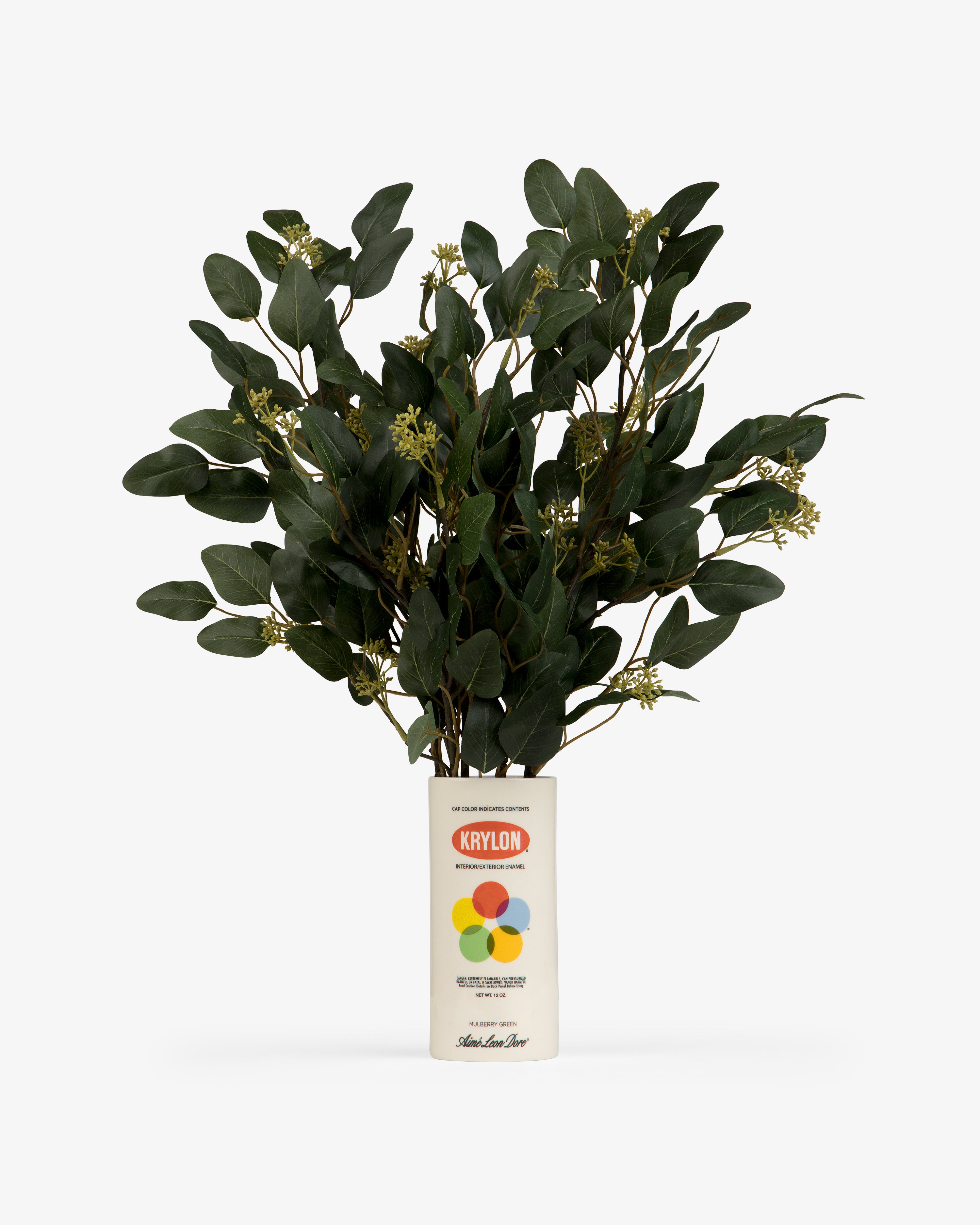 A leafy green plant in a Krylon Ceramic Spray Can Vessel, displayed on a plain white background.