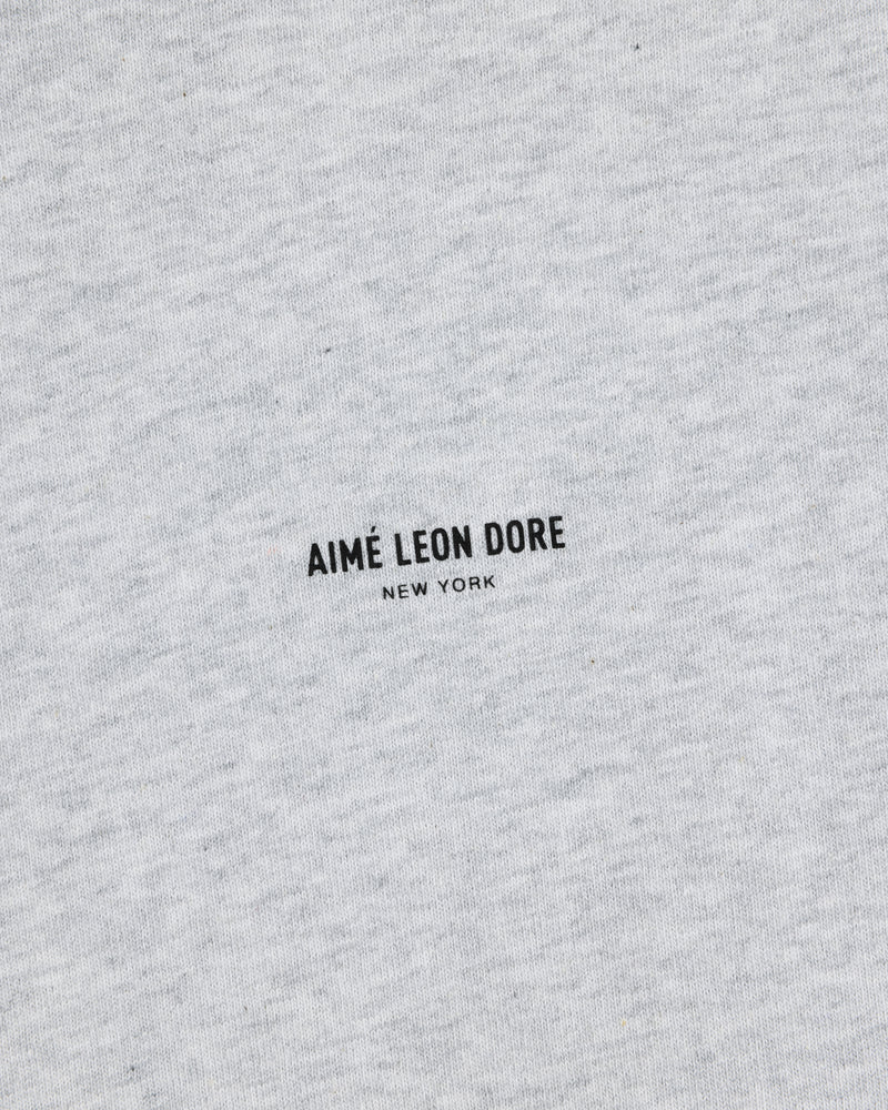 Close-up of a heather gray Long-Sleeve Micro Logo Tee with AIMÉ LEON DORE NEW YORK printed in small black text.
