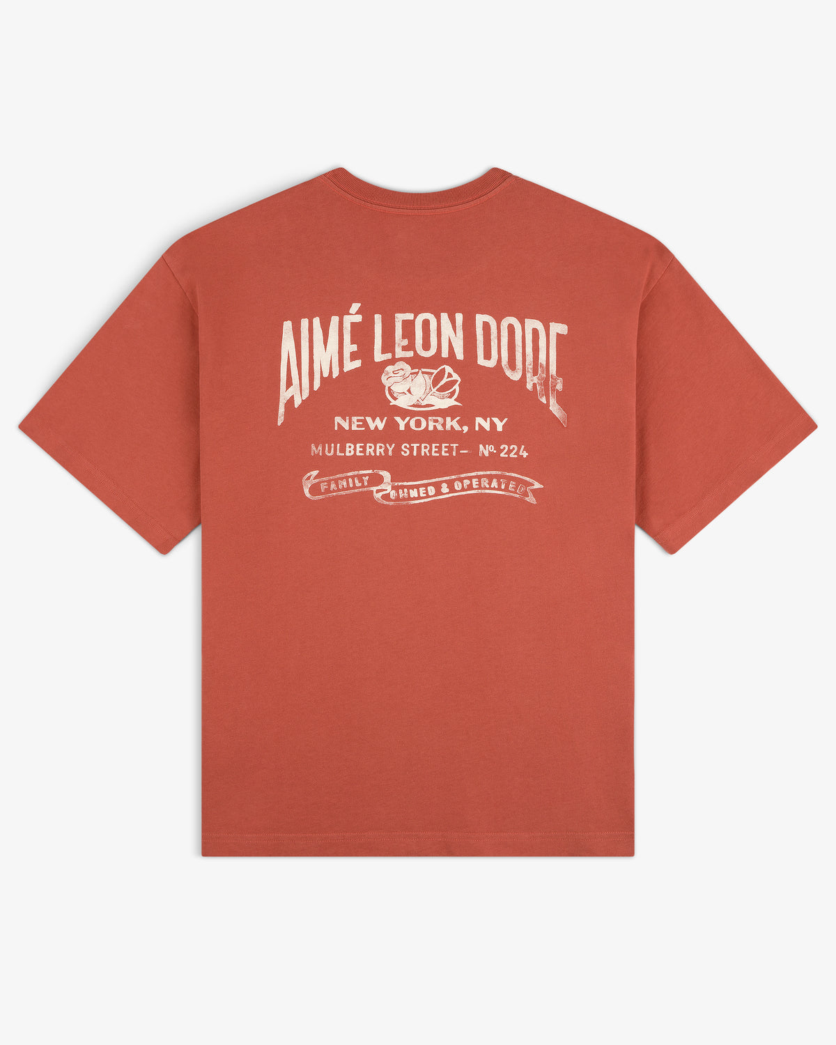 Rust red Neighborhood Pocket Tee with white AIMÉ LEON DORE and New York, NY text printed on the back.