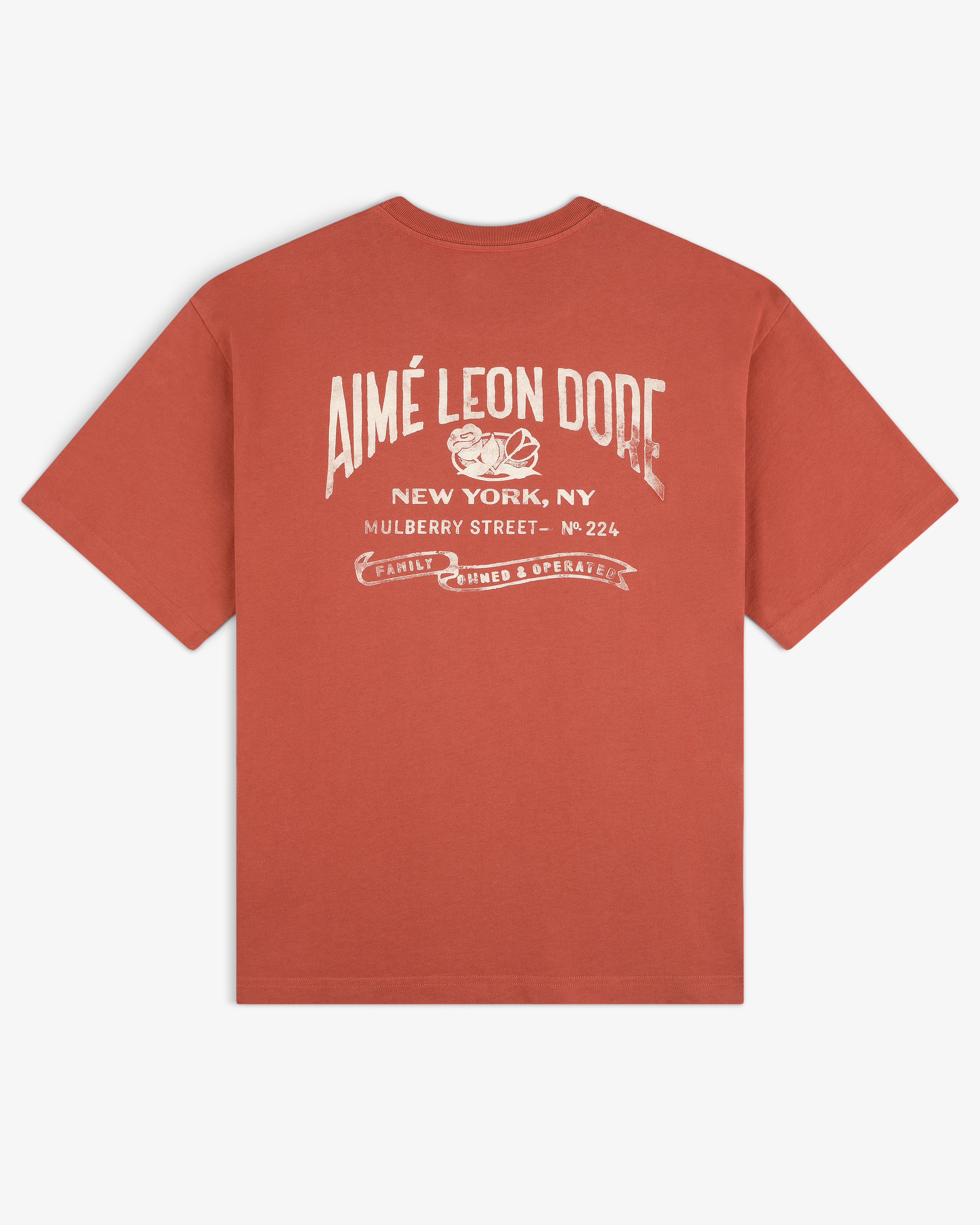 Rust red Neighborhood Pocket Tee with white AIMÉ LEON DORE and New York, NY text printed on the back.