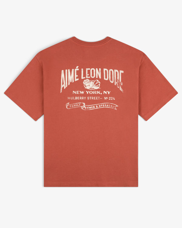 Rust red Neighborhood Pocket Tee with white AIMÉ LEON DORE and New York, NY text printed on the back.