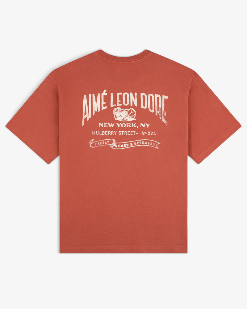 Rust red Neighborhood Pocket Tee with white AIMÉ LEON DORE and New York, NY text printed on the back.