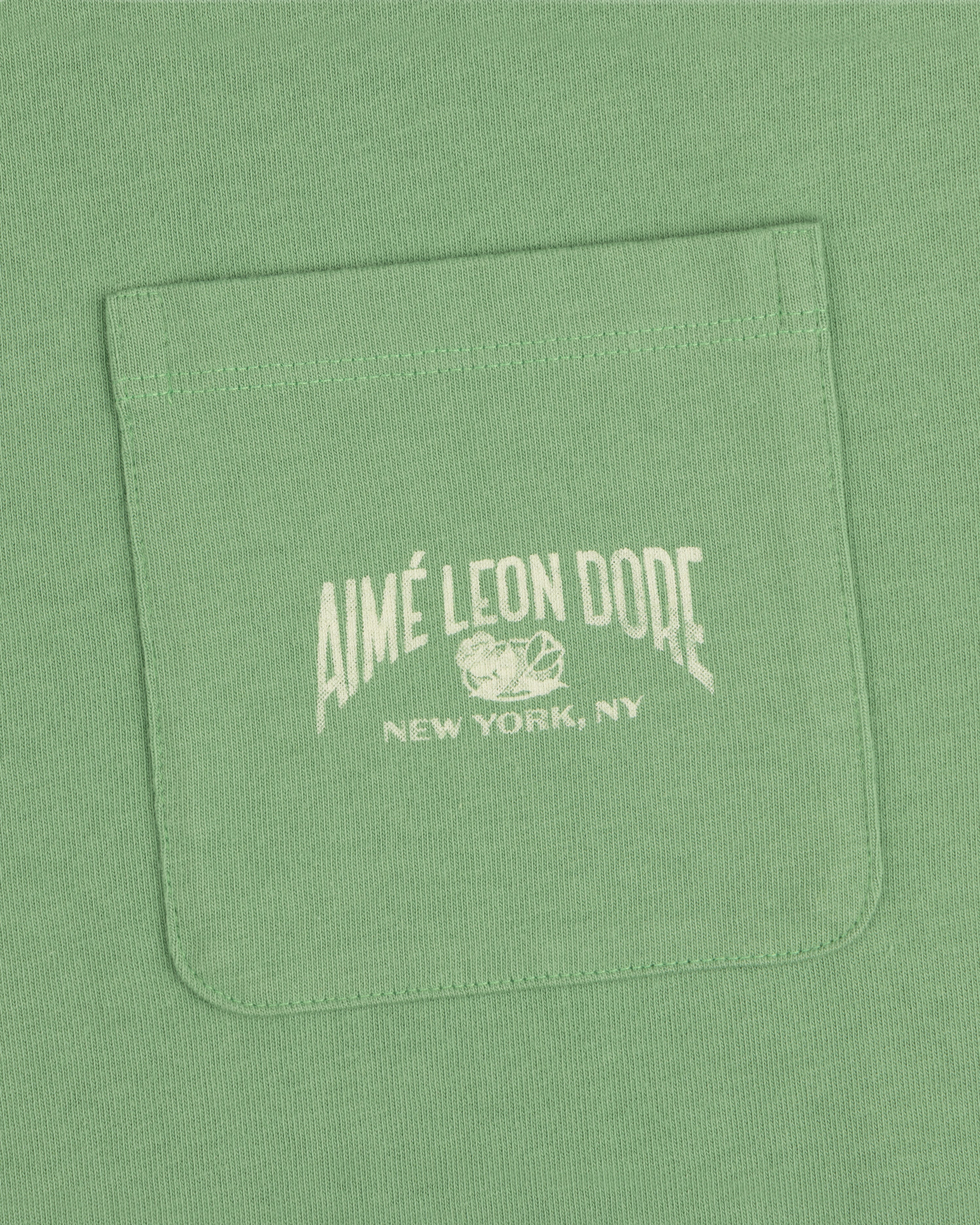 Neighborhood Pocket Tee in green with white Aimé Leon Dore New York, NY and small graphic printed on the pocket.