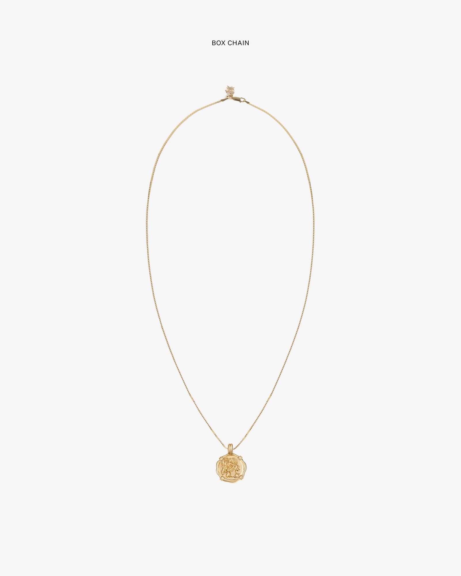 14Kt Gold Coin Pendant on a thin gold box chain, shown against a plain white background.