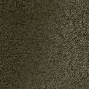 Color: Loden / tan