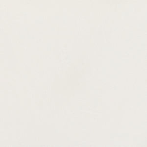 Color: Egret