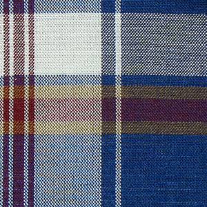 Navy plaid